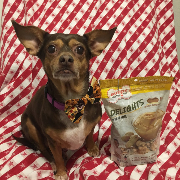 Peanut Butter Recipe Dog Treats