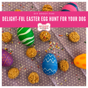 DELIGHT-ful Easter Egg Hunt for your dog...and whole Famiglia!