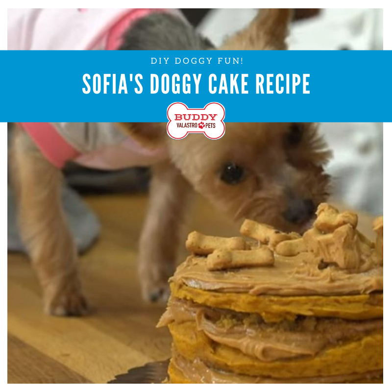 Sofia's Doggy Cake Recipe