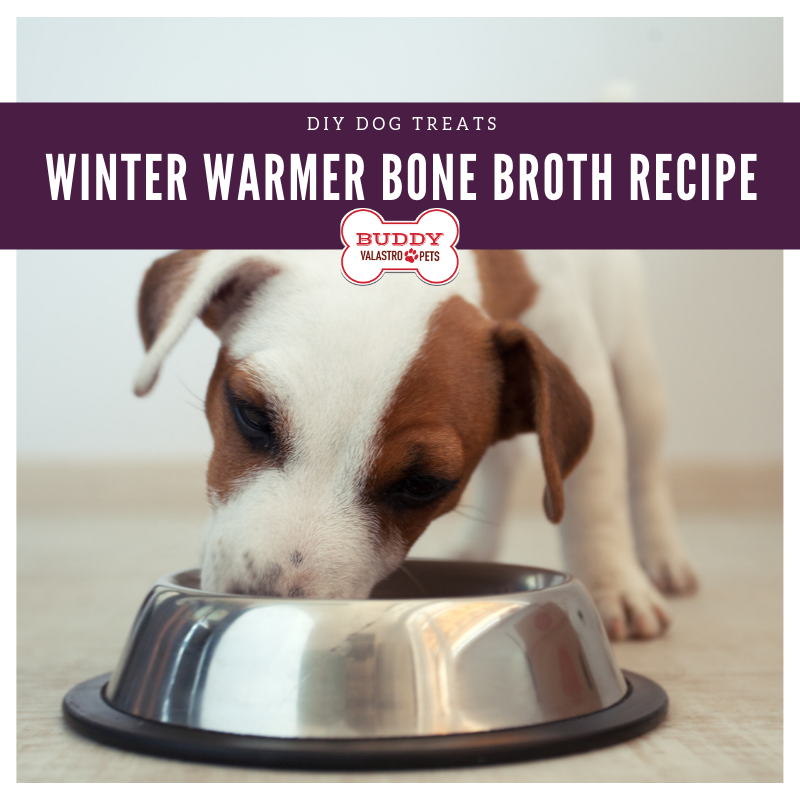 Cold Day Warmer - Bone Broth for Dogs