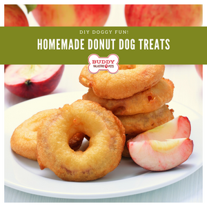 Homemade Doggy Donut Treats w/ Apples & Cinnamon