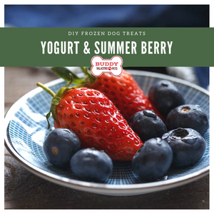 Frozen Yogurt & Summer Berry Bites