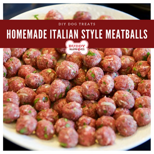 Homemade Italian-Style Meatballs
