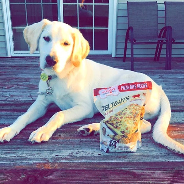 Pizza Bite Recipe Dog Treats