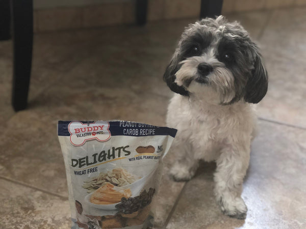 Peanut Butter & Carob Recipe Dog Treats