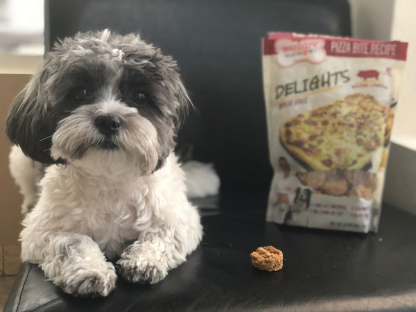 Pizza Bite Recipe Dog Treats
